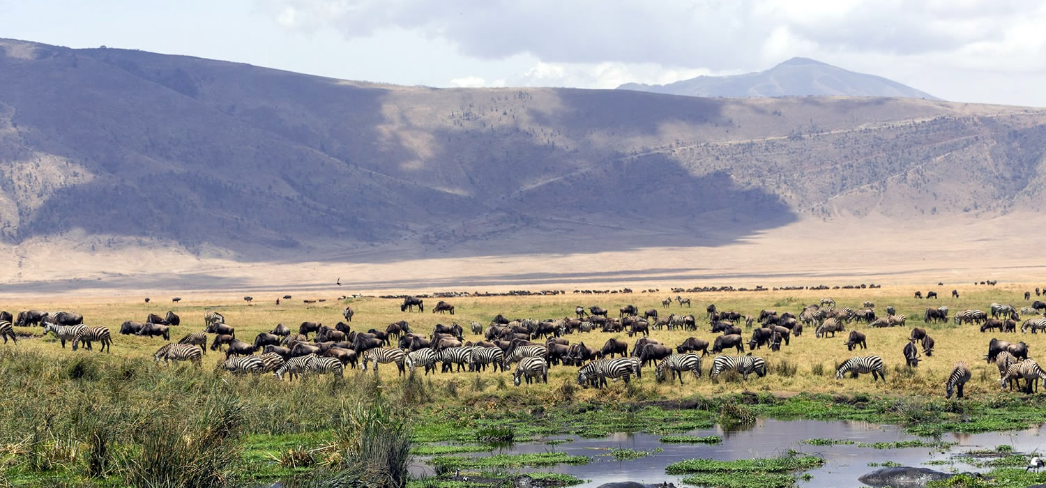 ngorongoro conservation area